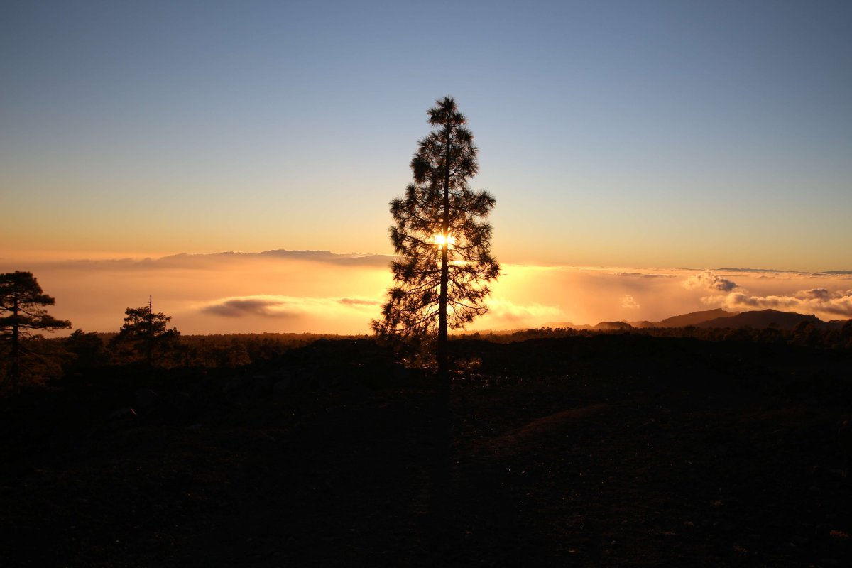 Trip around the Canary Islands in March 2019. Highlights - photo 1