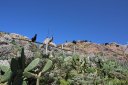 Trip around the Canary Islands in March 2019. Highlights - photo 81