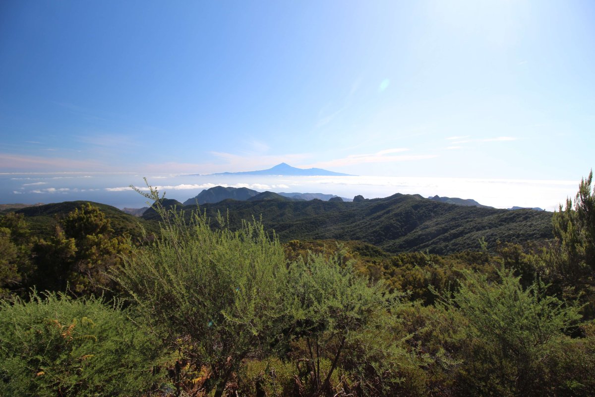 Travel around the Canary Islands in September 2019. Key points - photo 1