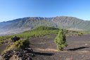 Travel around the Canary Islands in September 2019. Key points - photo 30