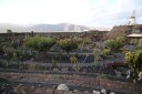 Trip around the Canary Islands in February 2020. Highlights - photo 41