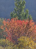 Relocation to Montenegro - photo 164