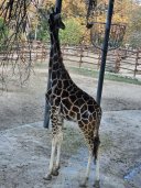 Relocation to Montenegro - photo 401