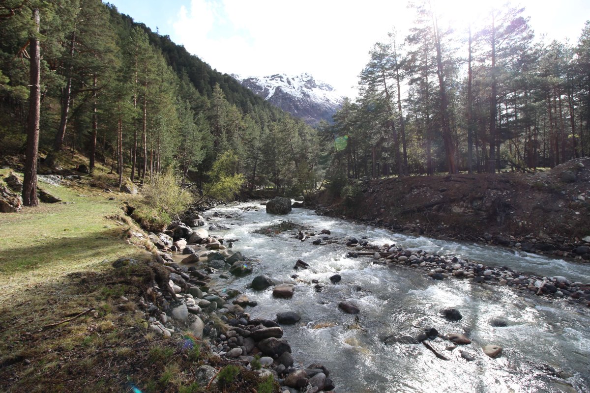 Путешествие на Юг - фото 1